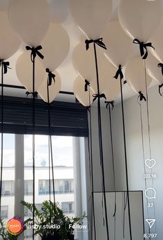 balloons are tied to the ceiling with black bows