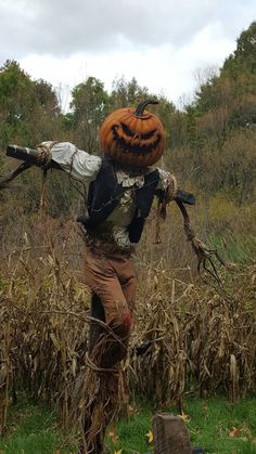 a scarecrow carrying a pumpkin on his back