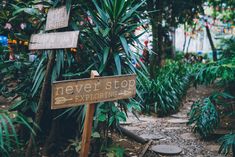 a wooden sign sitting in the middle of a forest filled with lots of green plants