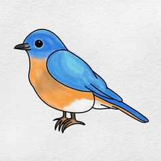 a blue and orange bird sitting on top of a white wall