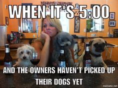 a woman sitting at a bar with three dogs