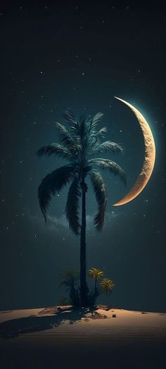 a palm tree sitting on top of a sandy beach under a moon and stars filled sky