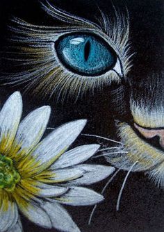 a painting of a cat's face with blue eyes and white flowers in front of it