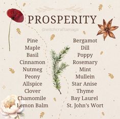 Herbs For Prosperity, Herbal Monographs, Plant Magick, Witchy Spells, Witch Apothecary, Saving Methods, Candle Magic Spells, Witch Spells