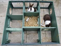 two rabbits sitting in their caged habitat on the ground with hay and straw around them