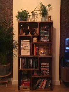 a bookshelf filled with lots of books next to a tv and potted plants