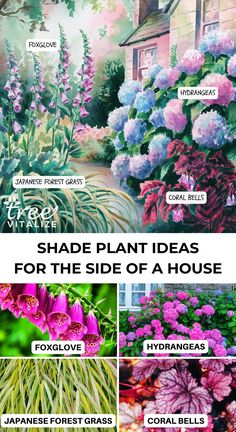 the different types of flowers and plants that are in front of a house with text overlay