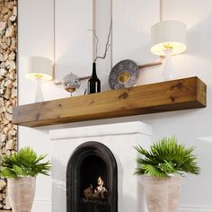 a fireplace with potted plants on the mantel above it and two lamps next to it