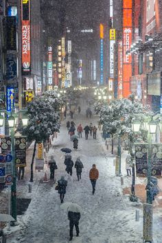 people walking down a snowy street at night