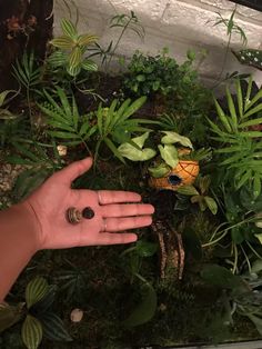 a person's hand reaching out towards some plants