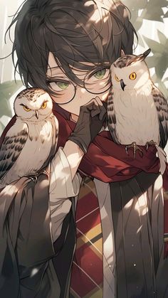 an anime character holding two owls on his arm