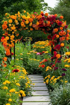 Bold and Vibrant Flower Bed Ideas 🌸🎨 Peony Bed