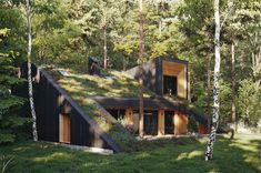 the house is surrounded by trees and has a green roof with grass growing on it