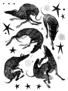 some black and white drawings with stars on the bottom one is an image of two greyhounds