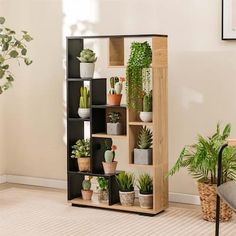 a wooden shelf filled with potted plants next to a planter on the floor