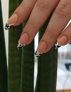 Cow Nails, Edgy Nails, Grunge Nails, Minimal Nails, Simple Acrylic Nails, Soft Nails, Nagel Inspo, Lukisan Cat Air, Dream Nails