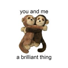 two monkeys hugging each other with the caption you and me, a brilliant thing