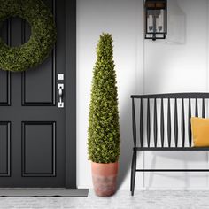 a black front door with a potted plant next to it and a yellow pillow