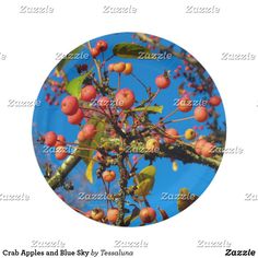 an apple tree with lots of fruit on it's branches and leaves in front of a blue sky