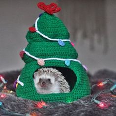 a hedgehog in a crocheted christmas tree hat with lights around it's base