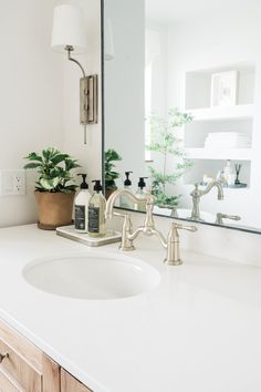 a bathroom sink with a mirror above it and plants on the counter in front of it