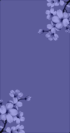 a black and white photo with purple flowers on the bottom right corner is an empty space for text