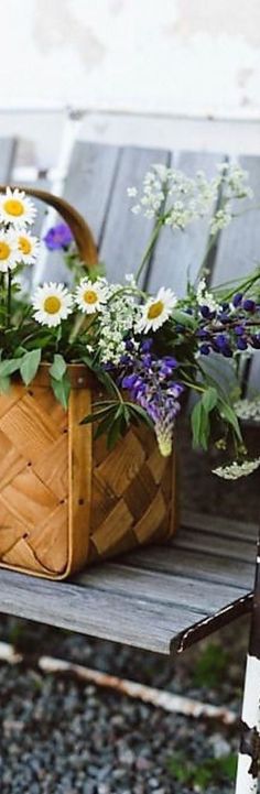 a basket filled with flowers sitting on top of a wooden bench