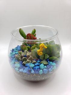 a glass bowl filled with plants and rocks