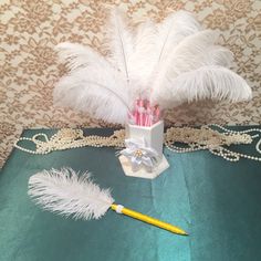 some feathers and pens are sitting on a table