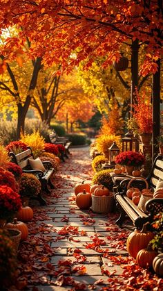 a pathway lined with benches covered in fall leaves