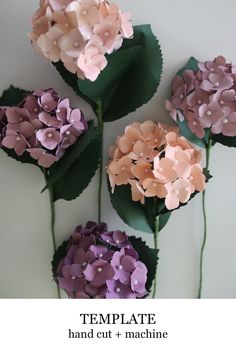 Hydrangea Template — Handmade by Sara Kim Hydrangea Template, Templates For Cricut, Crepe Paper Decorations, Paper Flower Templates, Giant Paper Flowers Template, Paper Plants, Paper Flower Template, Digital Templates, Giant Flowers