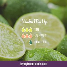 Grapefruit Essential Oil Blends, Best Smelling Essential Oils, Lilin Aroma, Magia Das Ervas