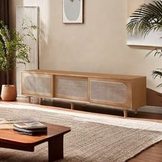 a living room with a couch, coffee table and potted plant on the floor