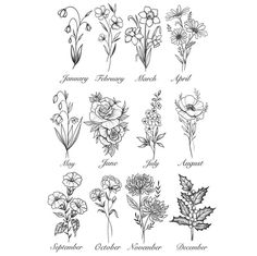 the different types of flowers are shown in black and white on a sheet of paper