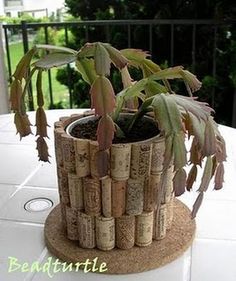 there is a plant in a wine cork holder on the table outside with other plants