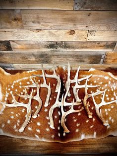 two deers with antlers on their back laying down