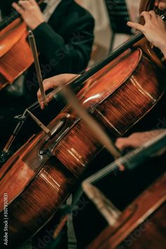 people playing instruments in an orchestra