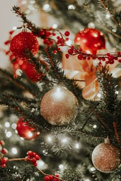 the christmas tree is decorated with red and gold baubles, holly berries, and ornaments