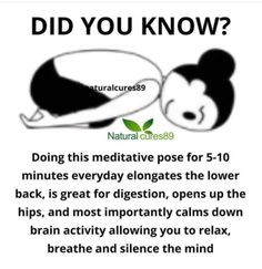 a panda bear laying down with the caption did you know?