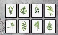 six green leaf prints on a wall above a vase with flowers and plants in it