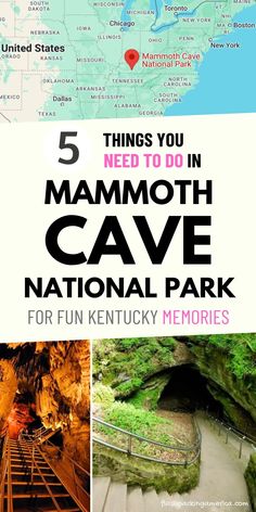 the top five things you need to do in mammoth cave national park