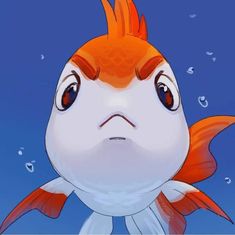 an orange and white fish with big eyes