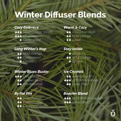 Essential Oil Christmas Blend, Diffuser Blends Doterra, Winter Diffuser Blends, Doterra Diffuser, Doterra Diffuser Blends, Doterra Essential Oils Recipes, Essential Oil Carrier Oils