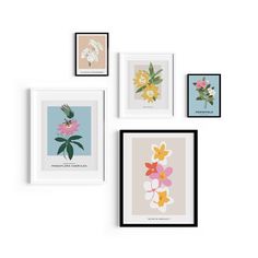 four framed flowers are hanging on the wall