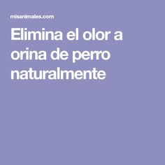 the words in spanish are white on a purple background