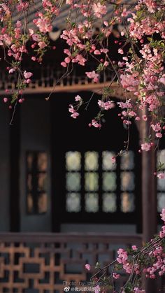 Korean Wallpaper, 2022 Wallpaper, Pink Flowers Wallpaper, Vintage Flowers Wallpaper, Flowers Photography Wallpaper, Flowers Wallpapers, Wallpaper Nature Flowers, Fotografi Alam Semula Jadi, Wallpaper Nature