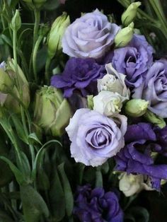 a bouquet of purple and white flowers with green leaves