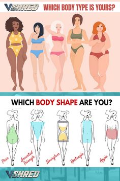 an image of different types of women in swimsuits with text that reads which body type is yours?