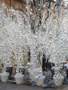 white christmas trees are lined up on the sidewalk