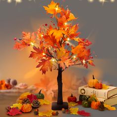 an autumn tree with fall leaves and pumpkins on the ground next to it is lit by fairy lights